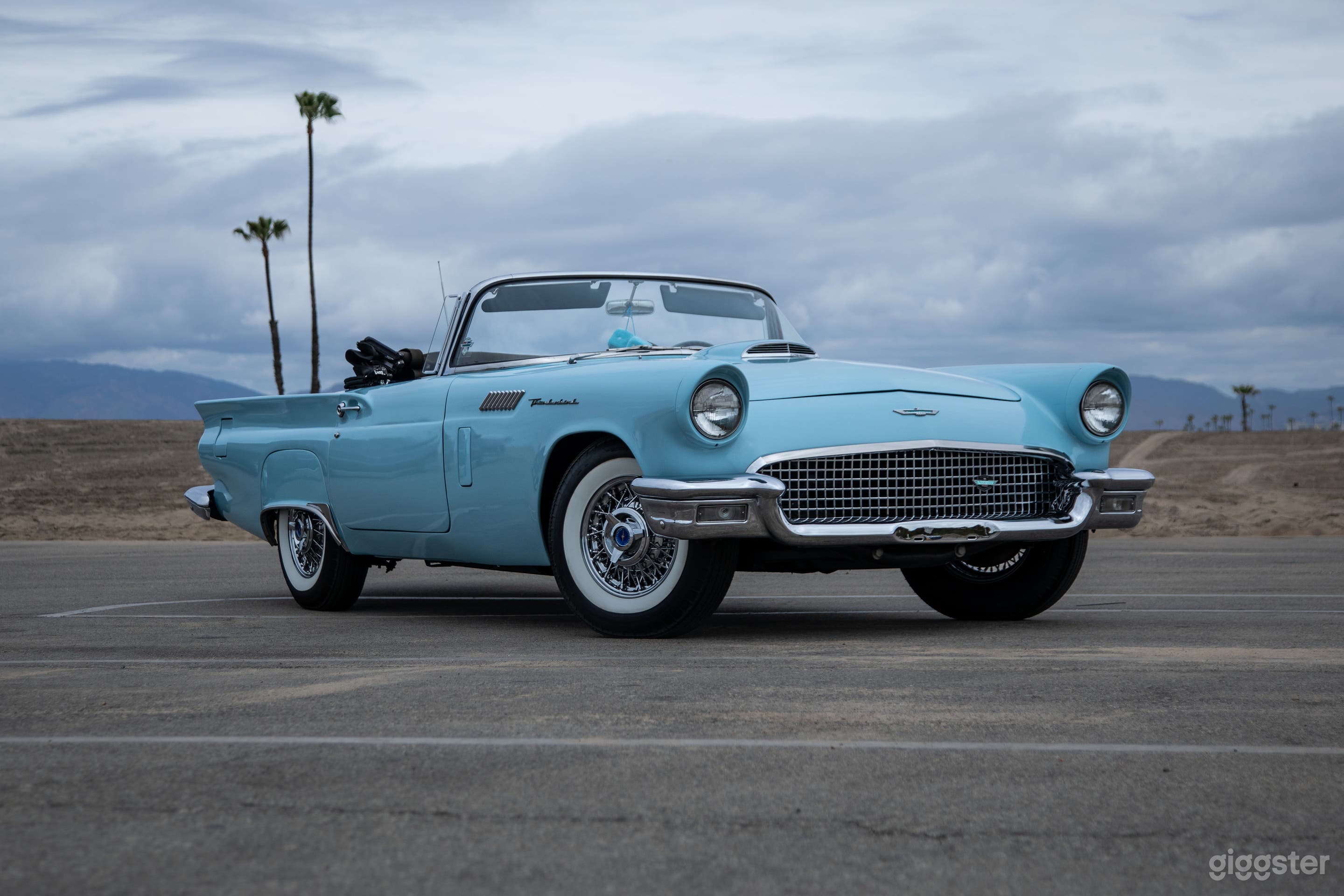 Bella's Baby Blue T-Bird Photo 1