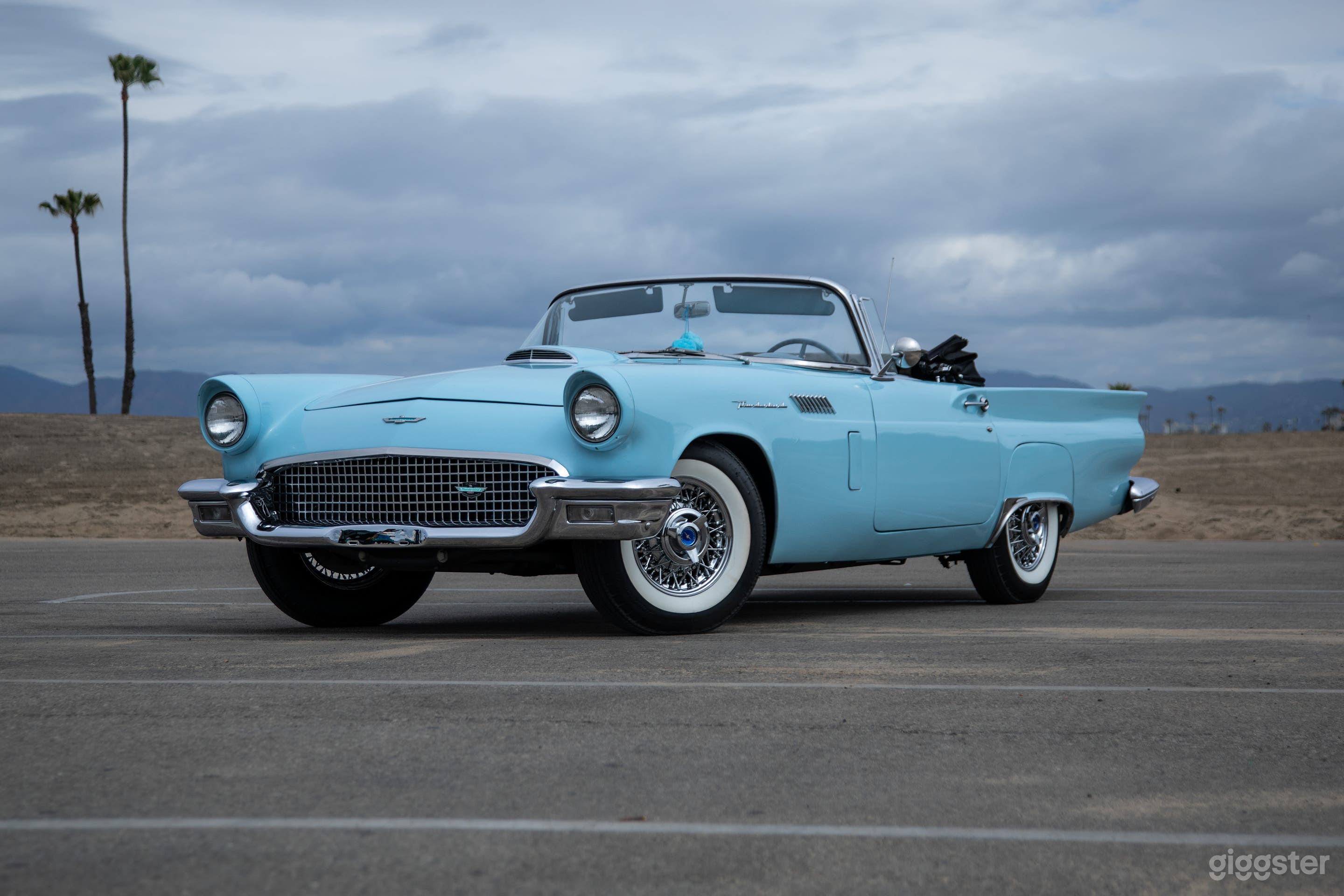 Bella's Baby Blue T-Bird Photo 2