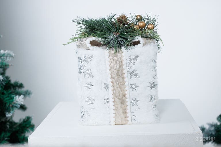   Creative Studio with Cyc Wall  