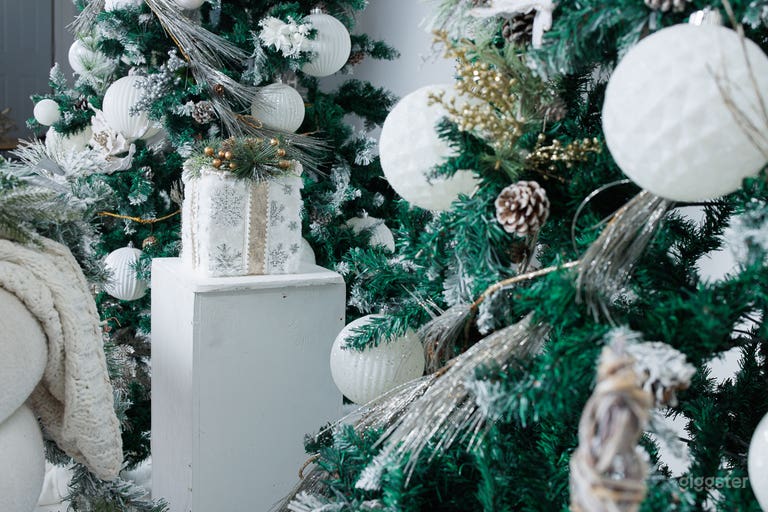   Creative Studio with Cyc Wall  