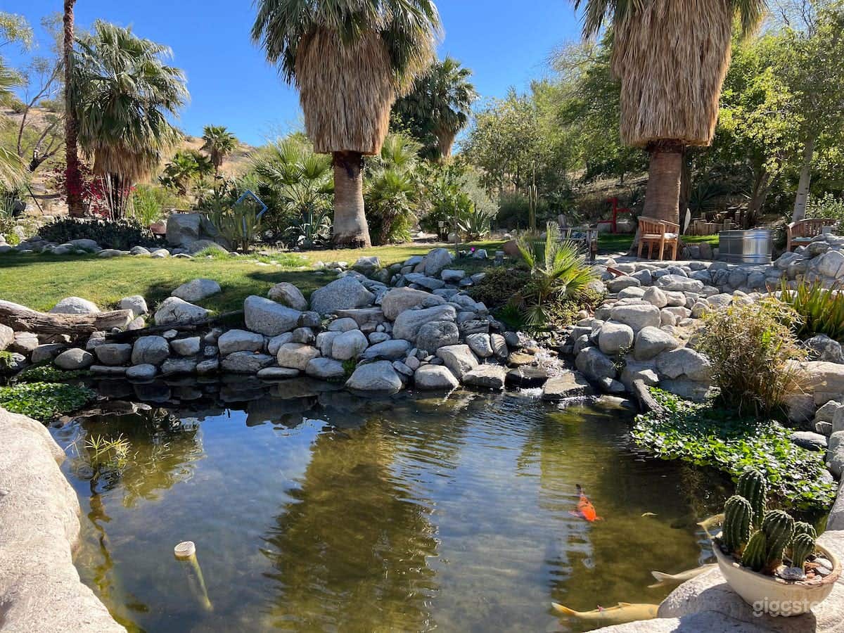 Ranch with Hot Springs (100acre) Photo 4