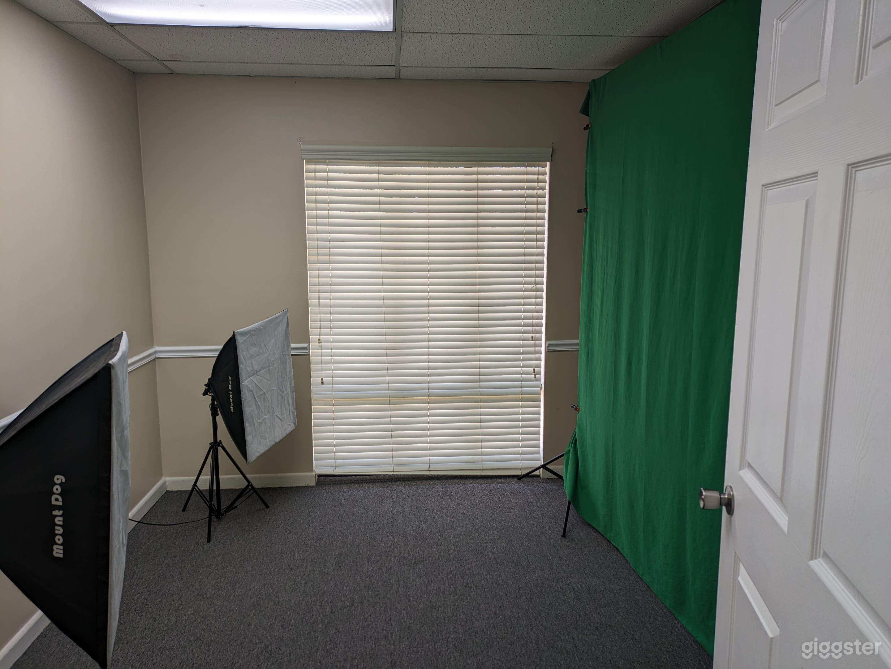 Greenscreen and Mount Dog studio lights