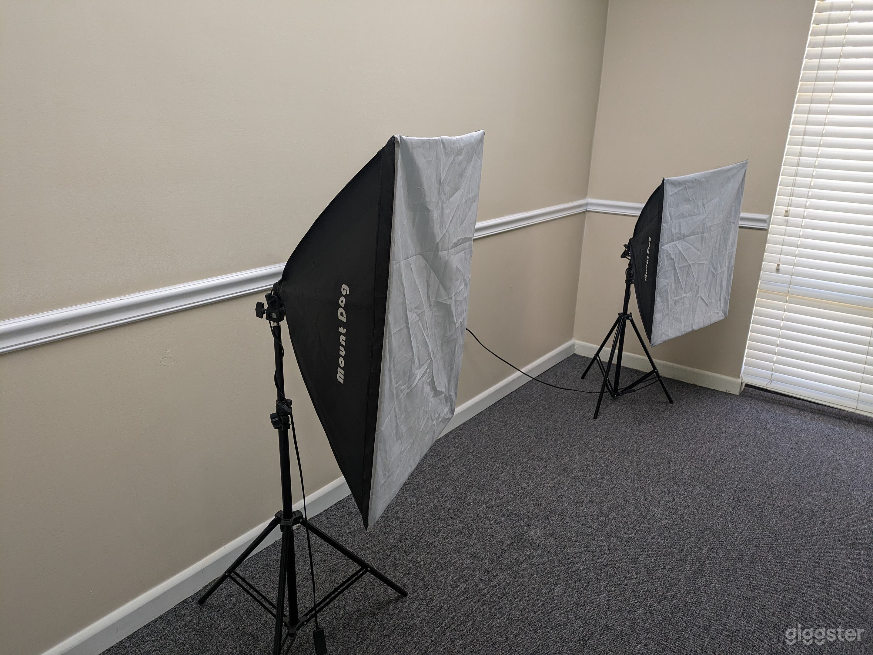 Two Mount Dog studio lights.