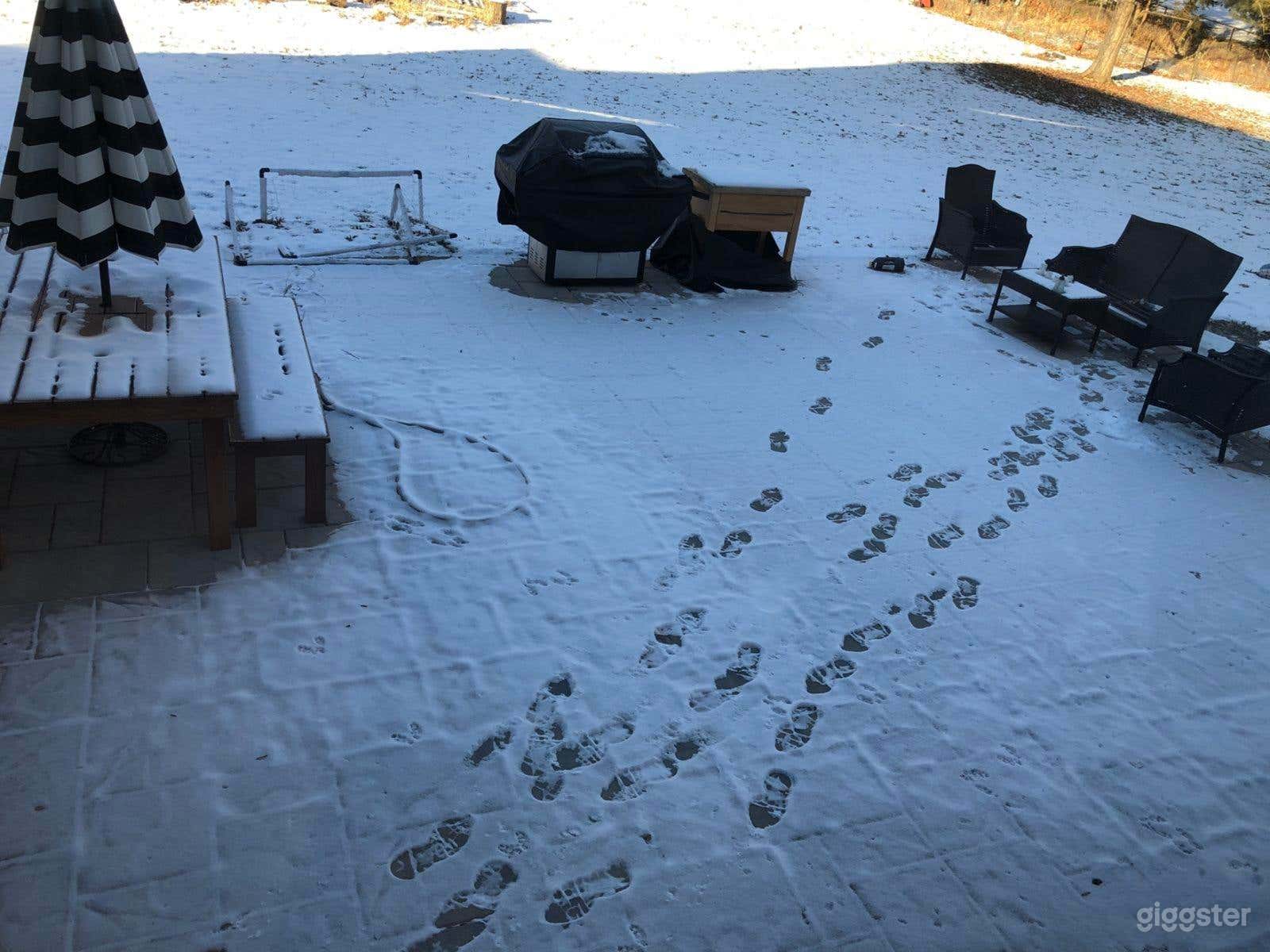 Charming French Country Backyard Photo 4