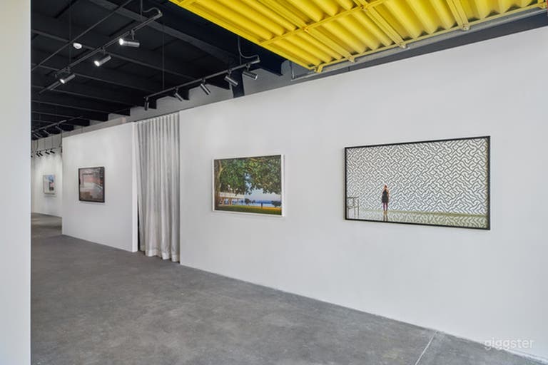  Vibrant Gallery for Shoots in Little Haiti Miami 