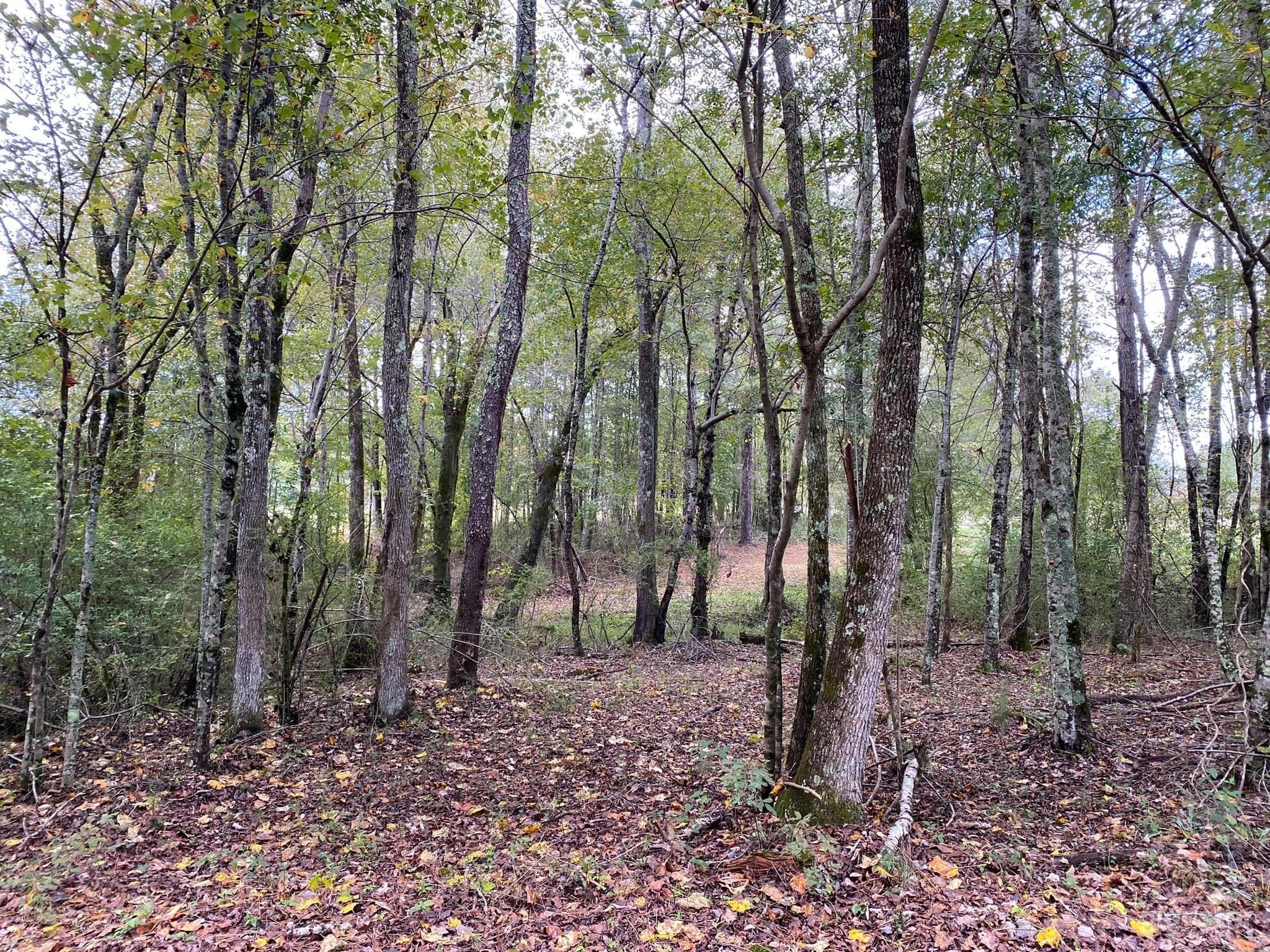 Homestead Hideaway Photo 2