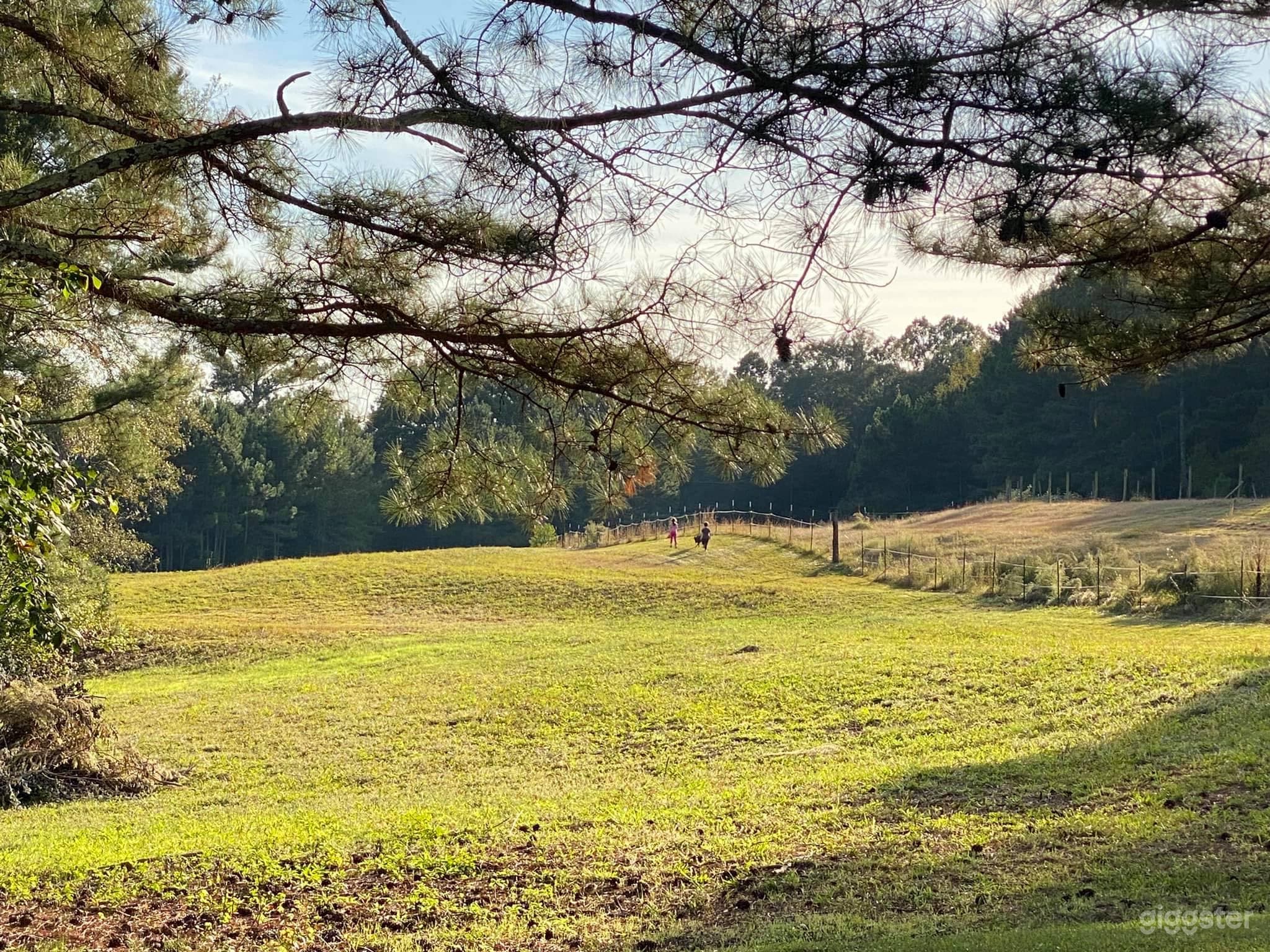 Homestead Hideaway Photo 3