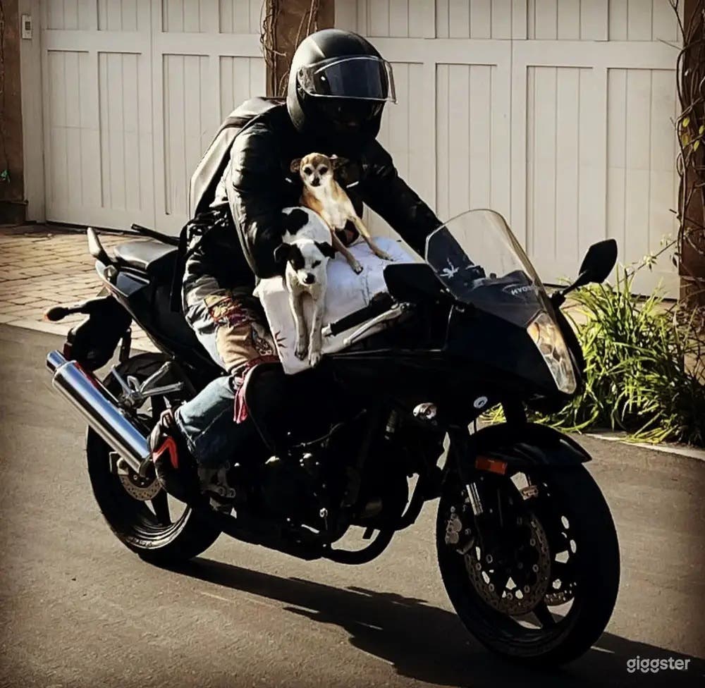 2015 HYOSUNG GT250R SPORTS motorcycle CUSTOM Photo 1