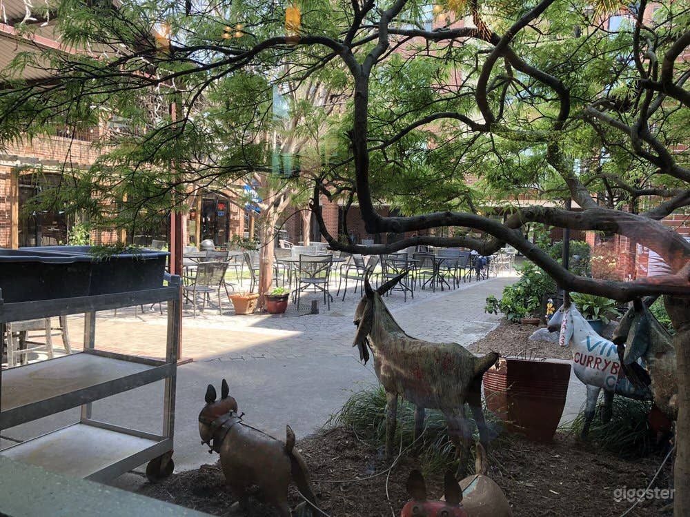 Atmospheric Restaurant in Chapel Hill Photo 1