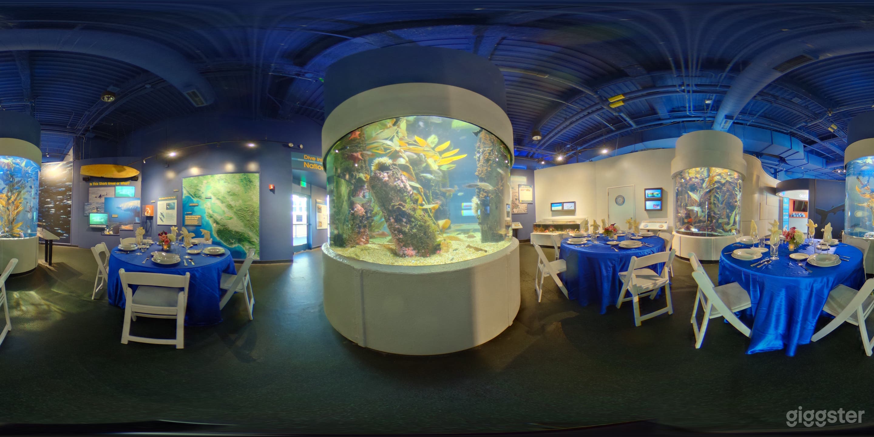 Discover the Bay Photo 2