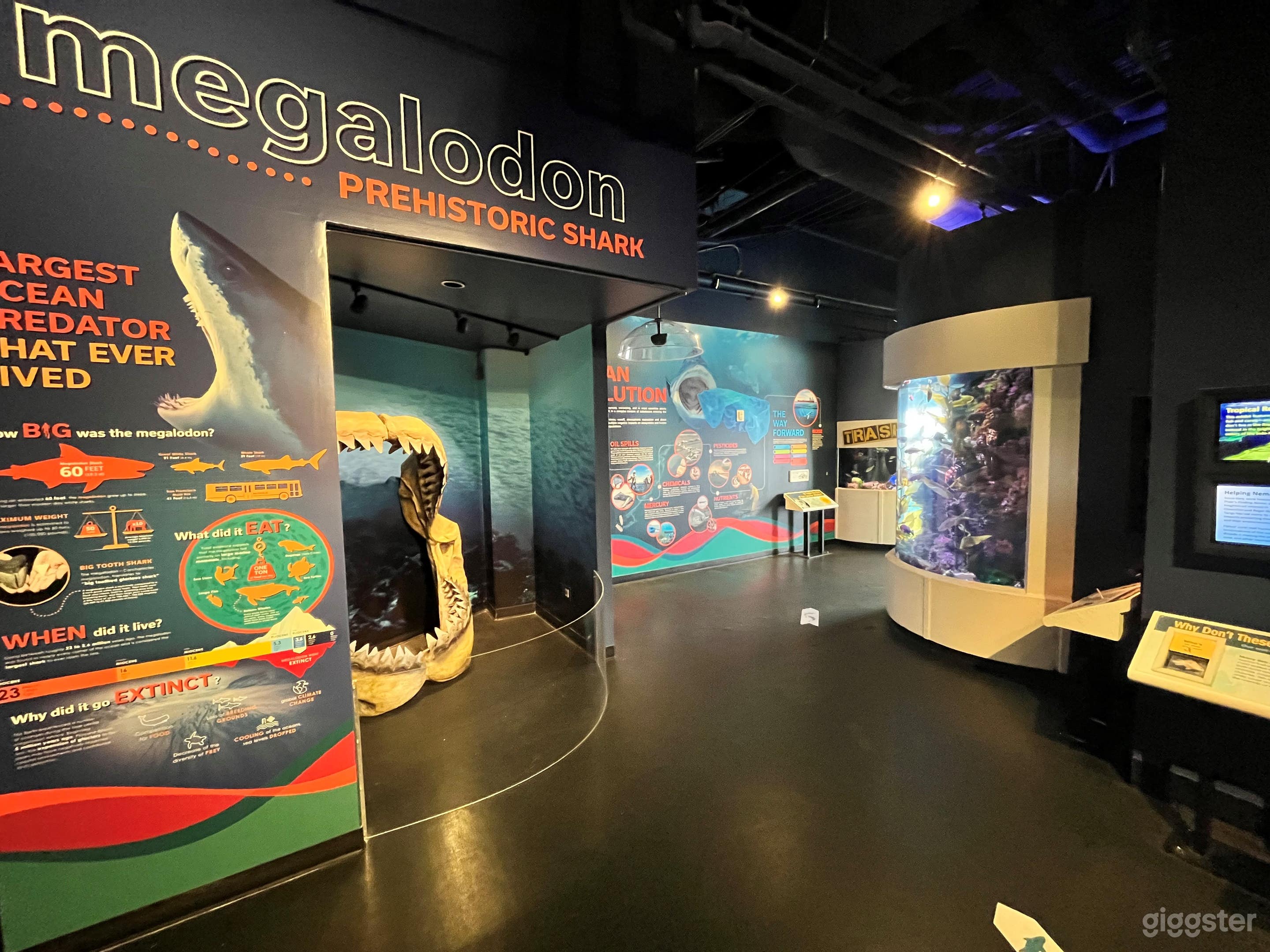 Discover the Bay Photo 3