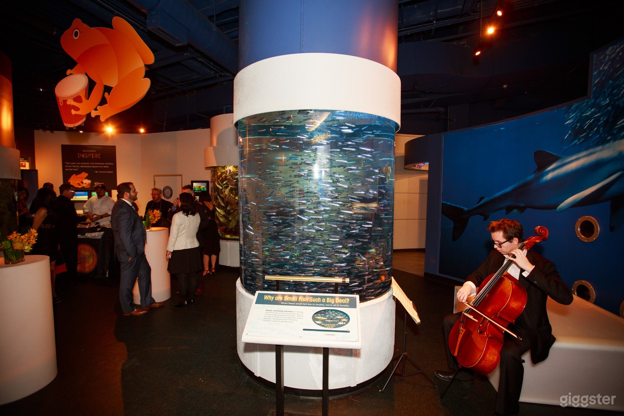 Discover the Bay Photo 4