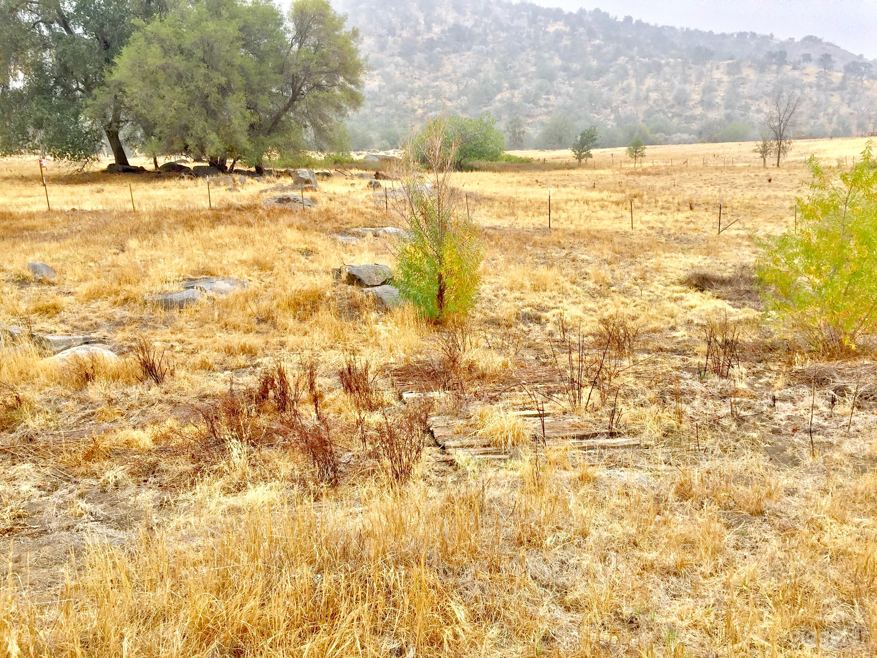 Scenic 722 acre ranch on the river. Photo 4