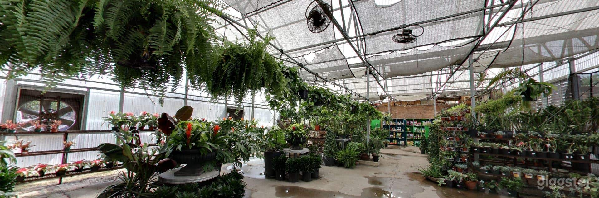 Greenhouses with selection of tropical plants Photo 1