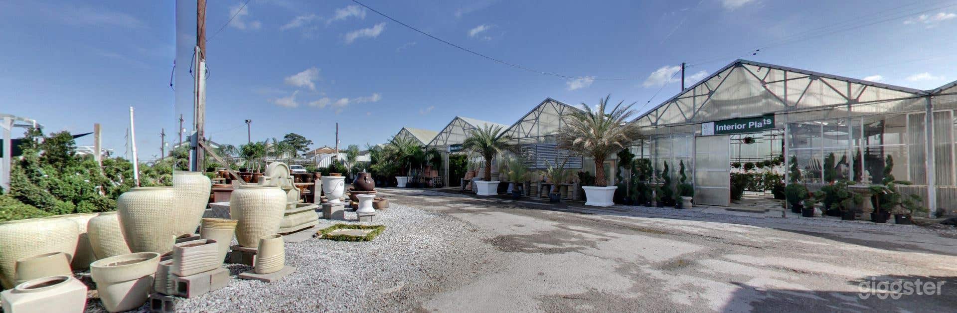 Greenhouses with selection of tropical plants Photo 2