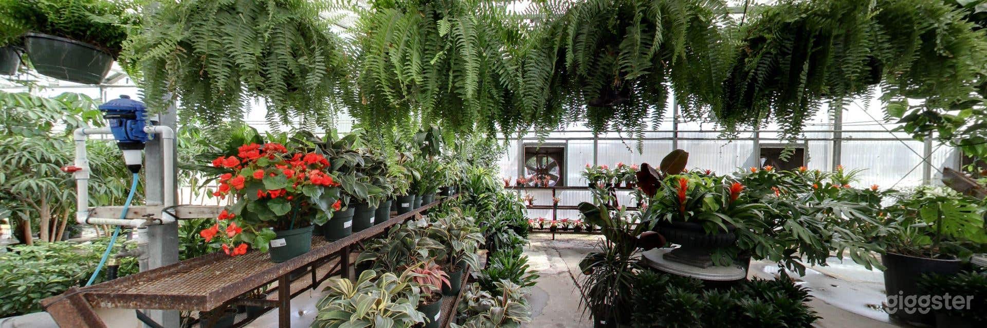 Greenhouses with selection of tropical plants Photo 4