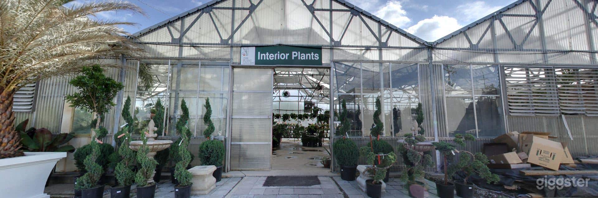Greenhouses with selection of tropical plants Photo 3