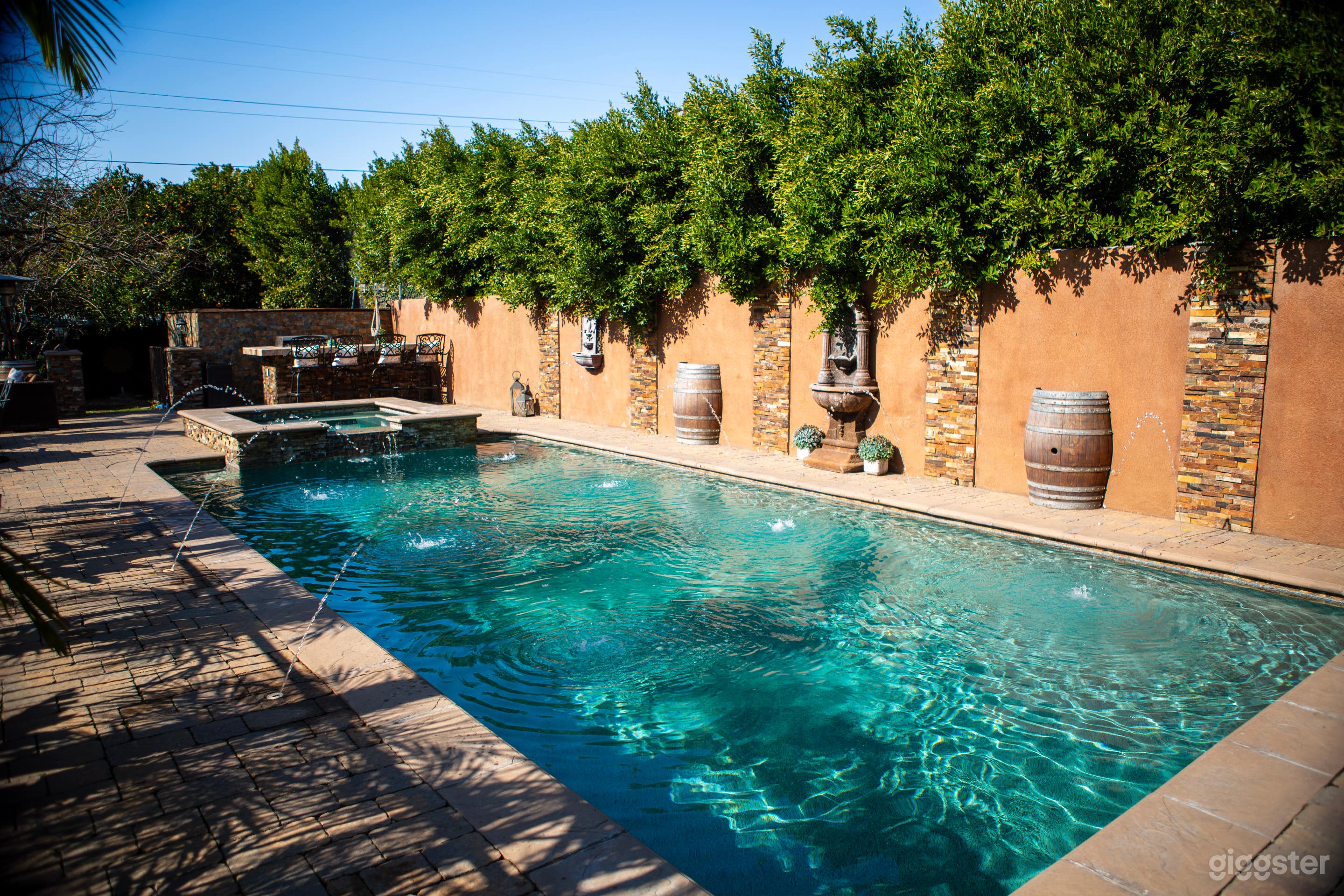 Morroccan/Palm Springs Vibe Pool &amp; Backyard Photo 1