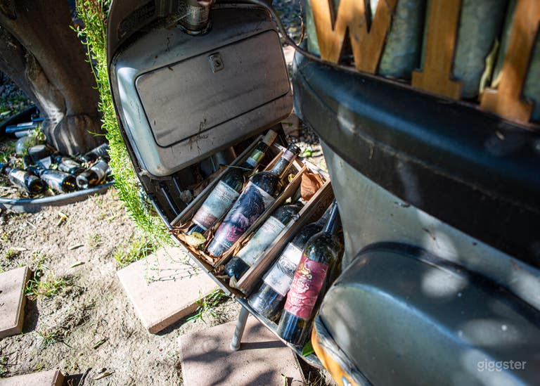 Morroccan/Palm Springs Vibe Pool & Backyard 