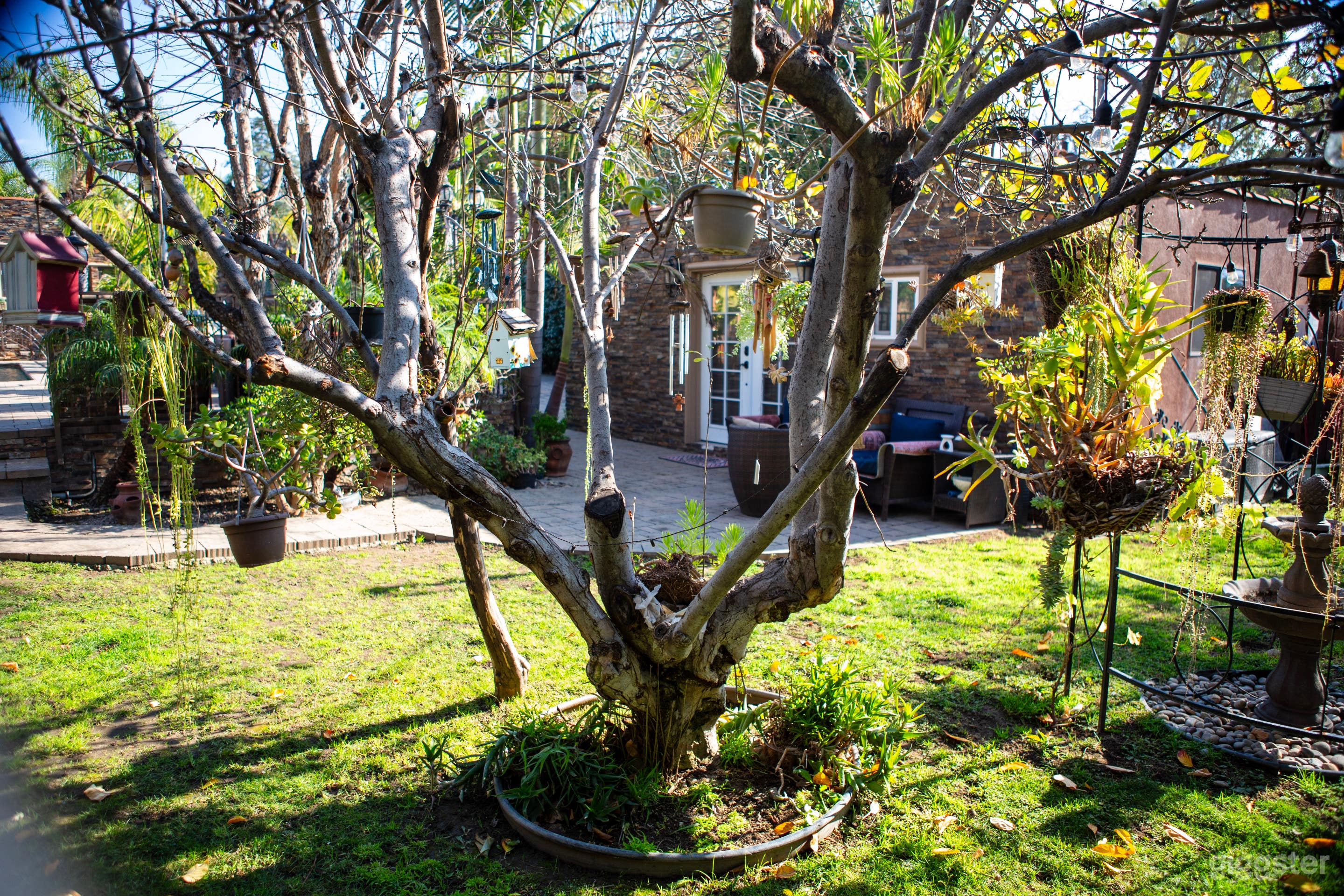 Morroccan/Palm Springs Vibe Pool &amp; Backyard Photo 4