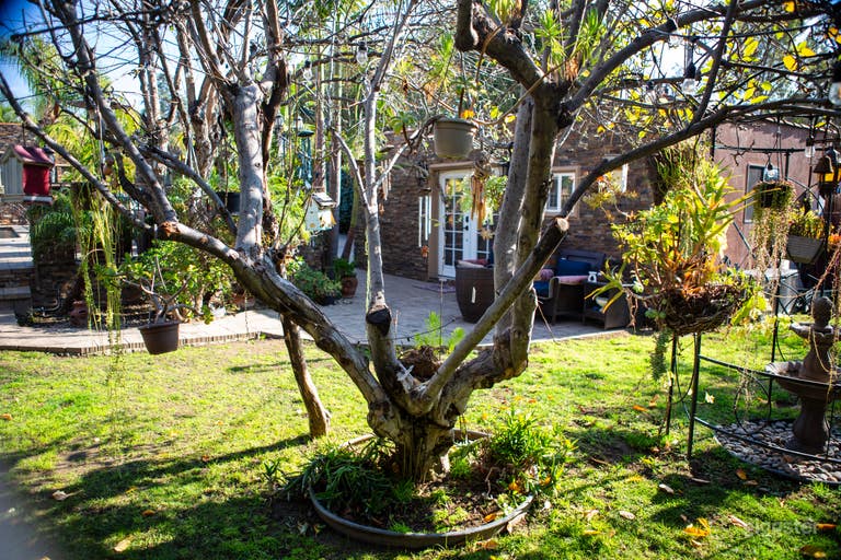  Morroccan/Palm Springs Vibe Pool & Backyard 