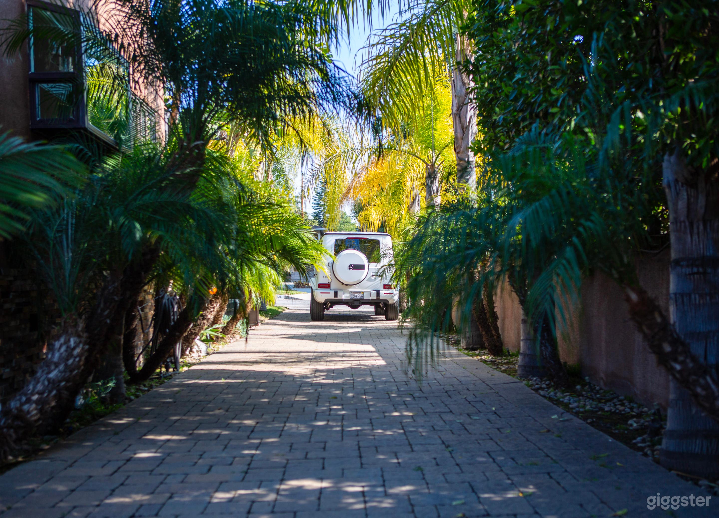 Morroccan/Palm Springs Vibe Pool &amp; Backyard Photo 2
