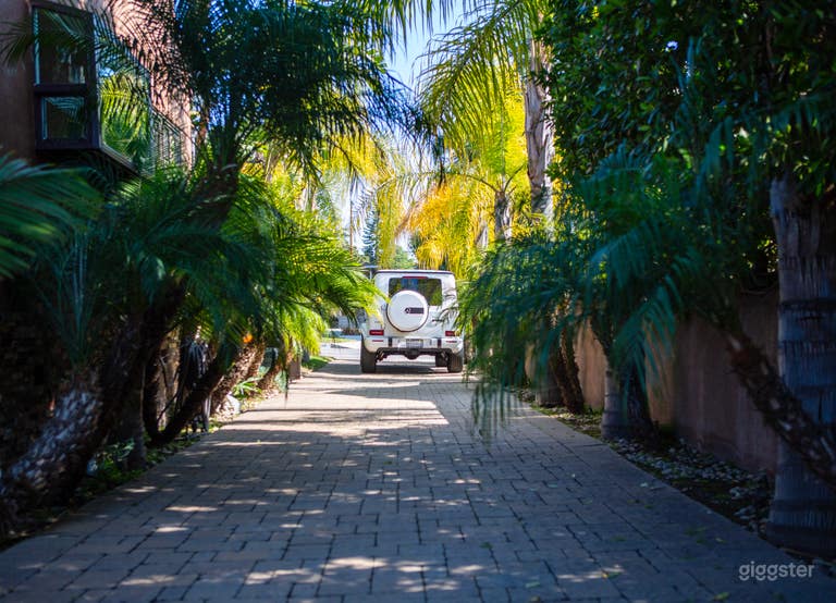  Morroccan/Palm Springs Vibe Pool & Backyard 