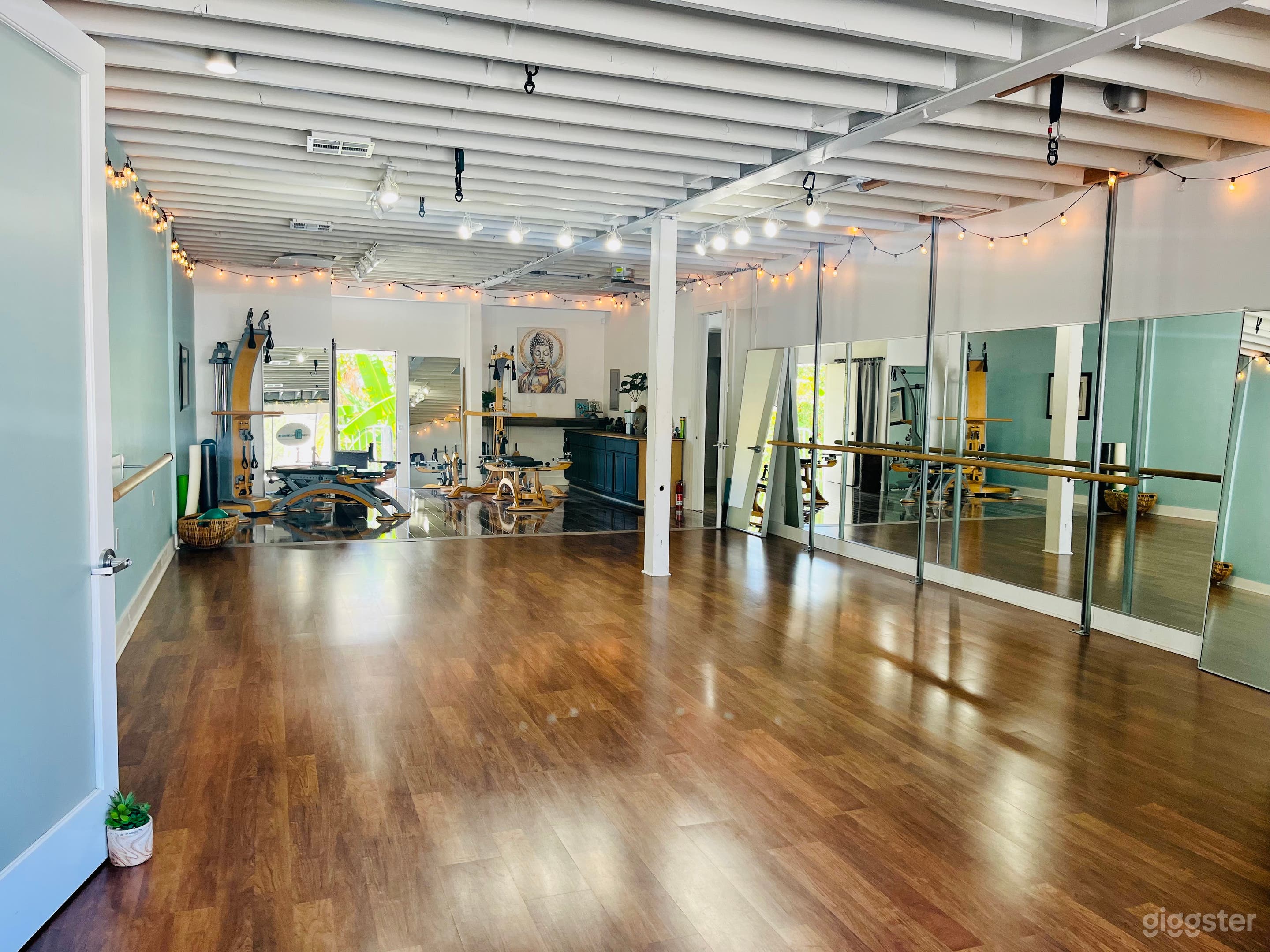 Dance/ Aerial /Gyrotonic studio