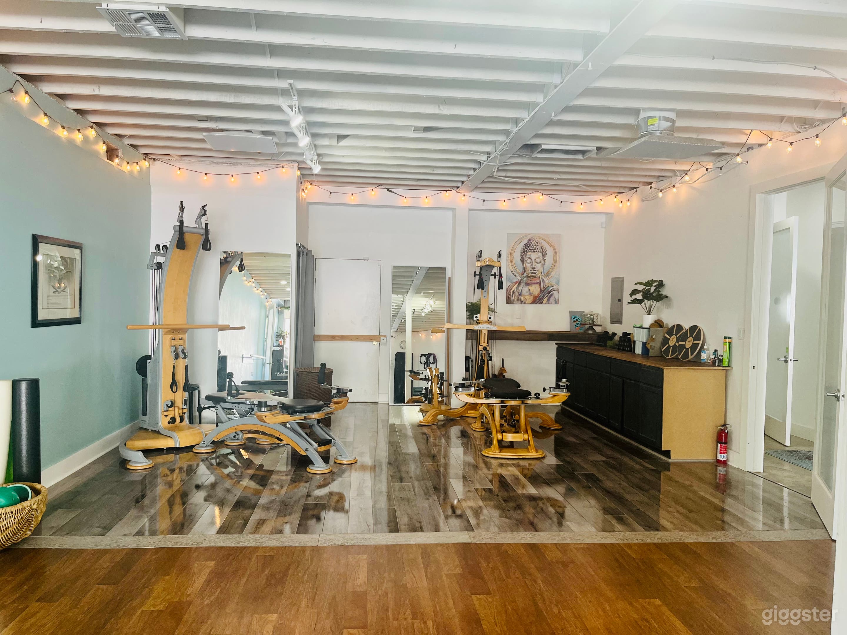 Gyrotonic Equipment/ Dance Aerial studio