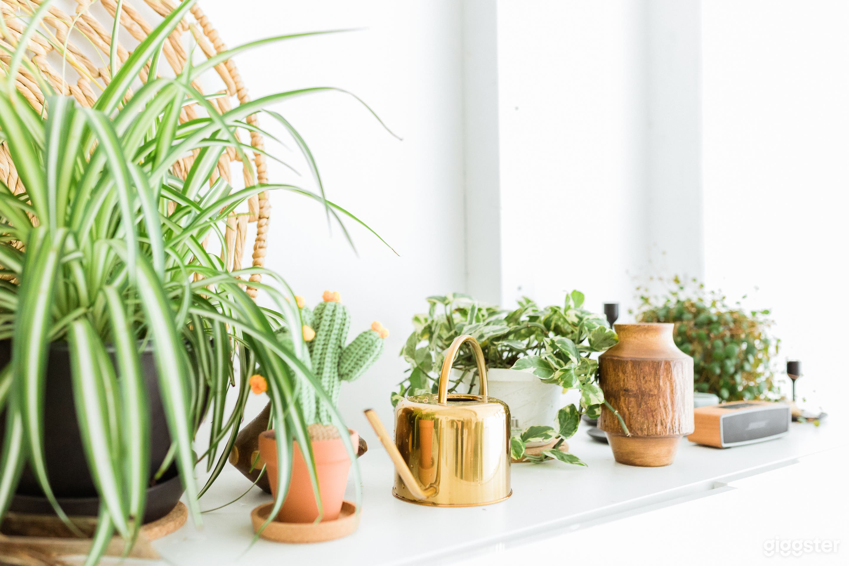 Bright White Natural Light Studio in SODO Photo 4