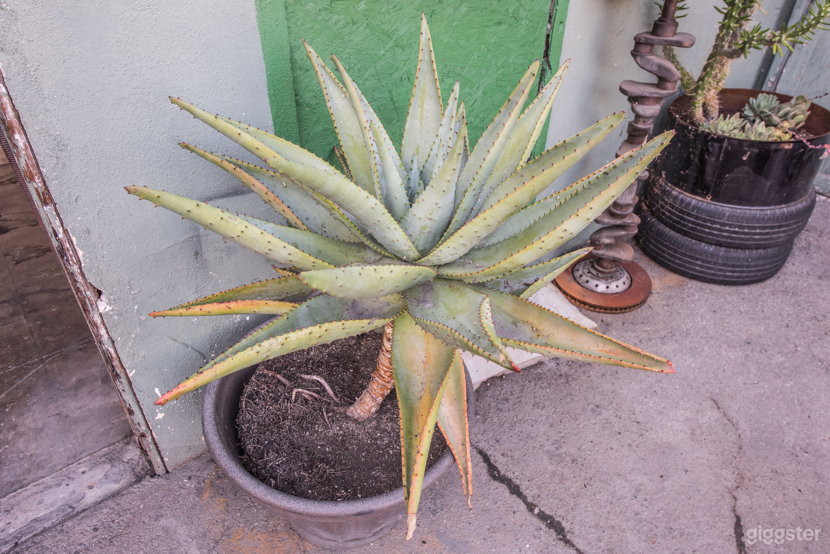 Mad Max Garage Photo 2