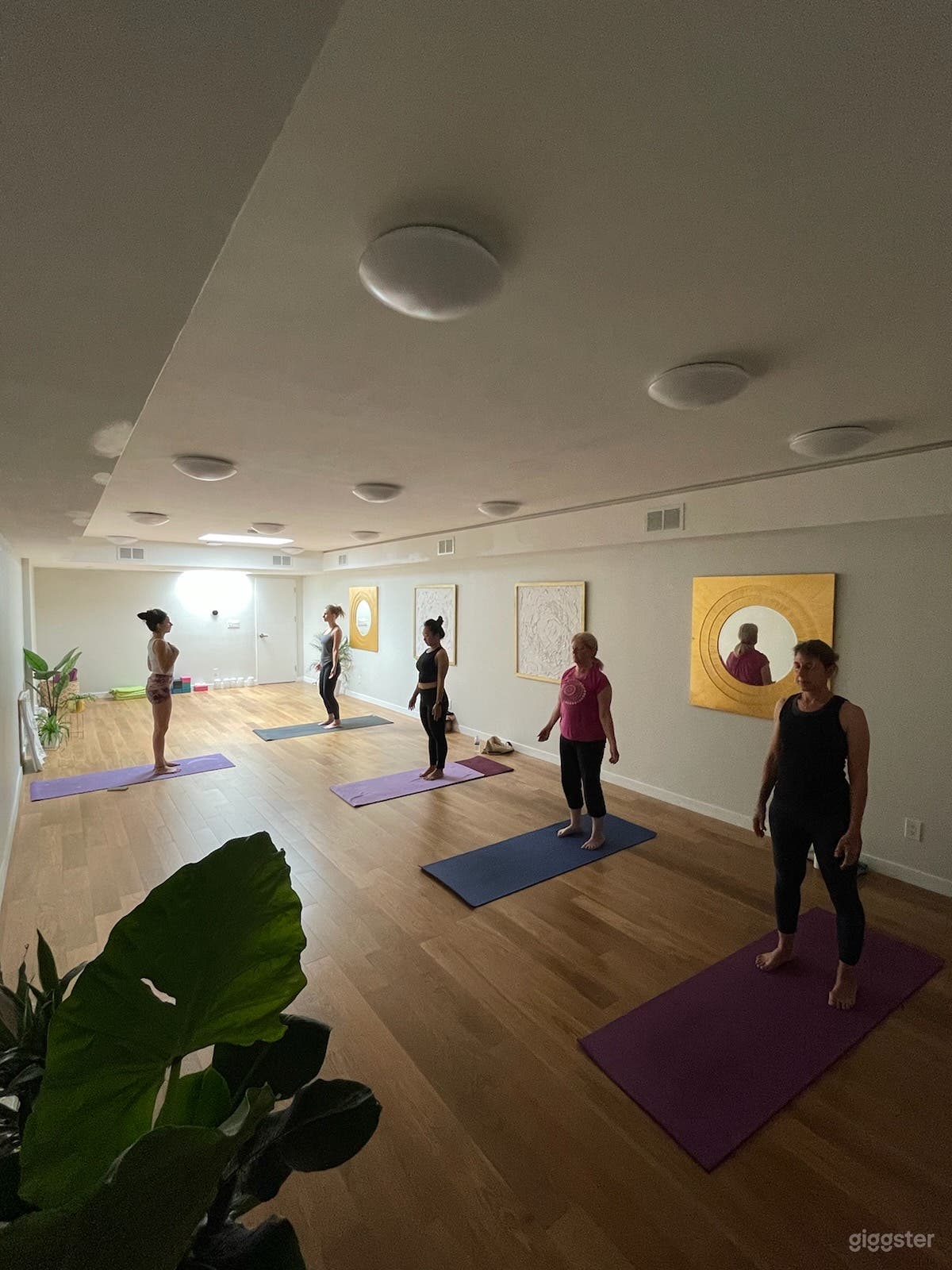 Wellness and Yoga Studio Photo 1