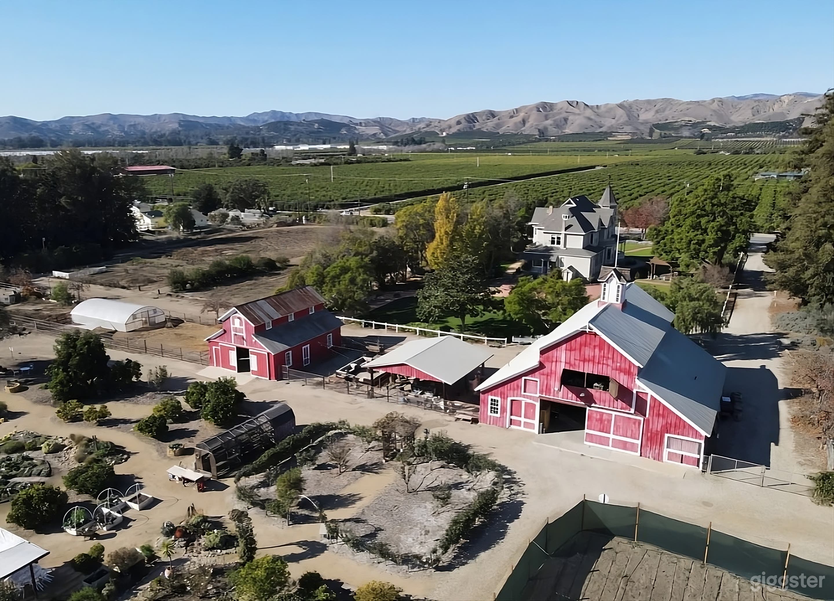 Expansive Historic Backyard Photo 3