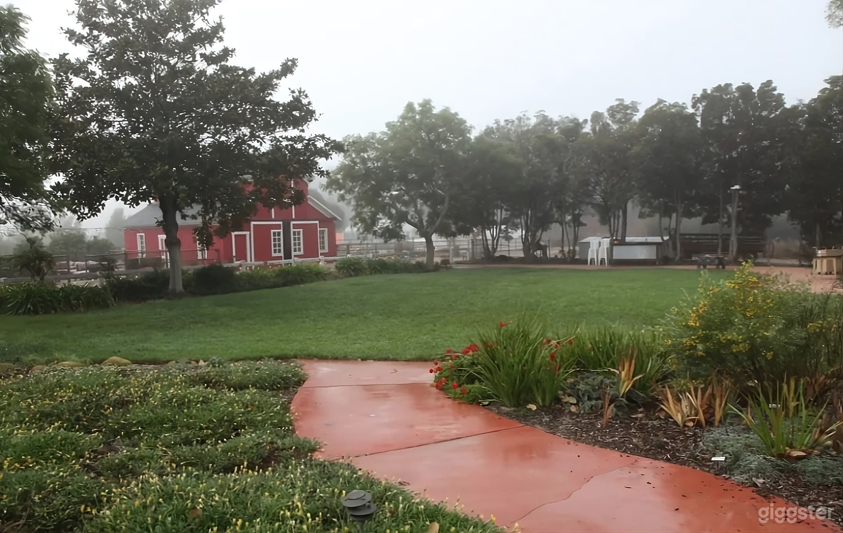 Expansive Historic Backyard Photo 4