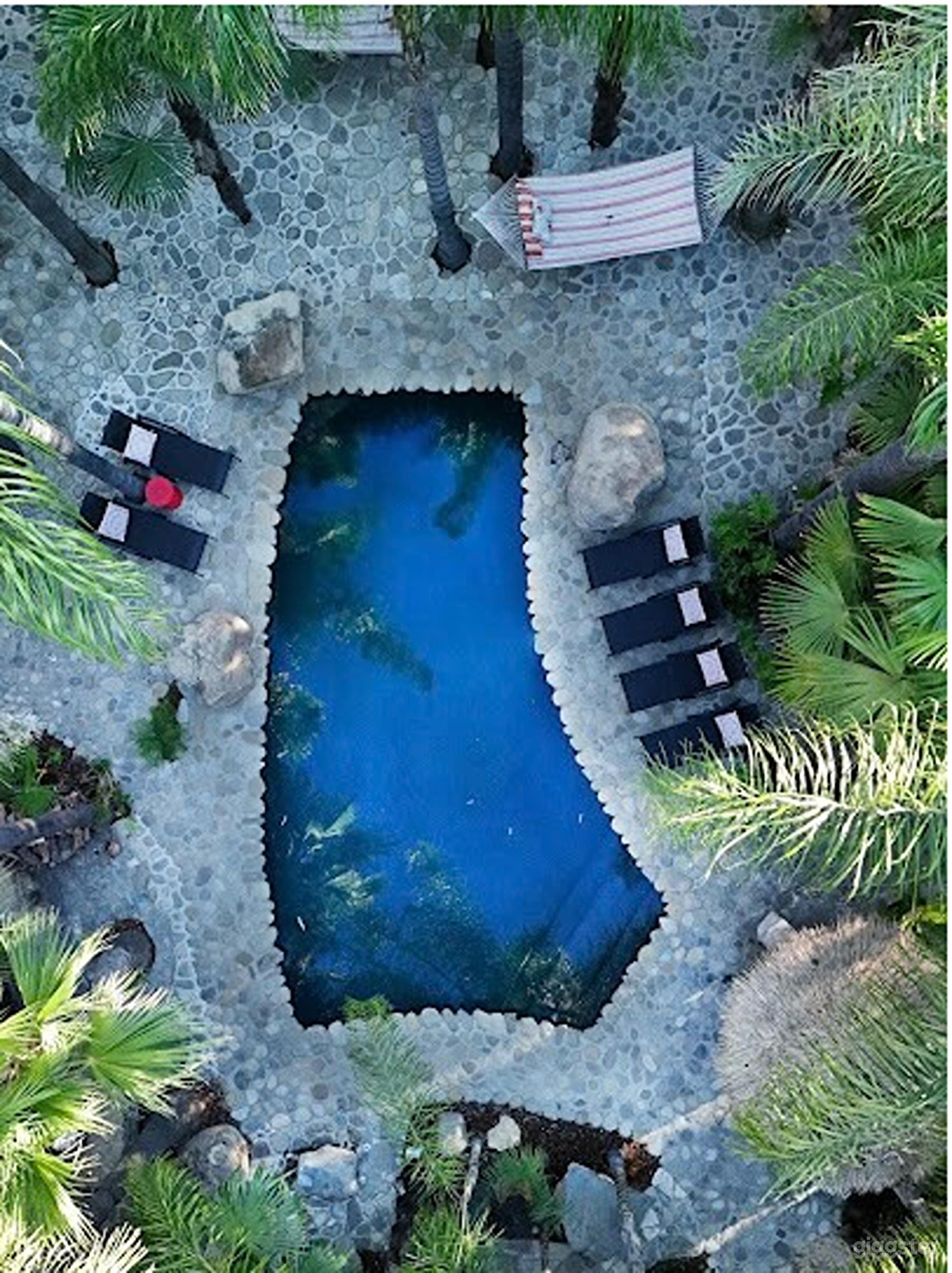 Private Tropical Outdoor Pool Photo 2