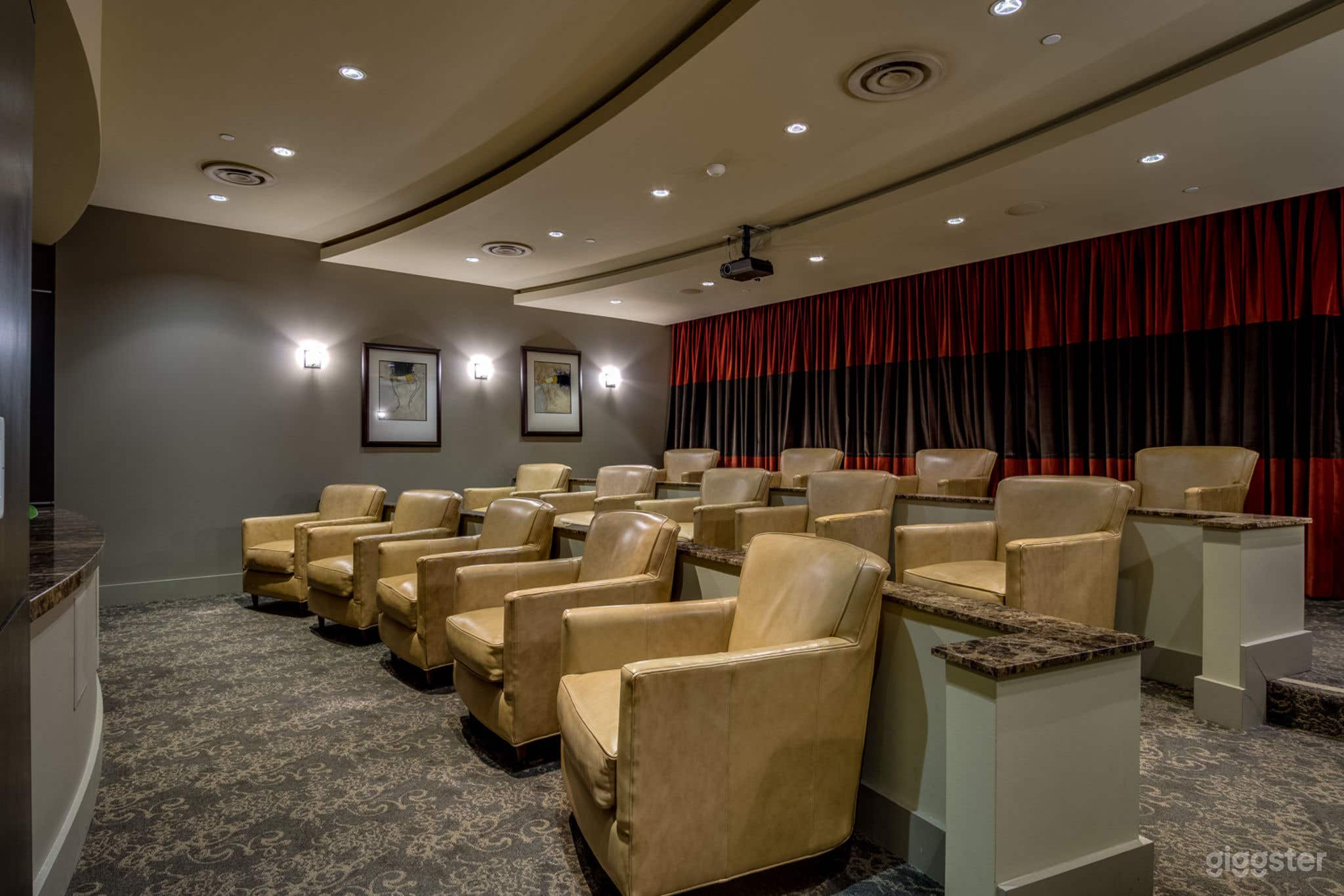 Deluxe Theater Room in East Village Photo 3