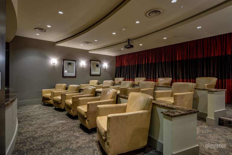  Deluxe Theater Room in East Village 
