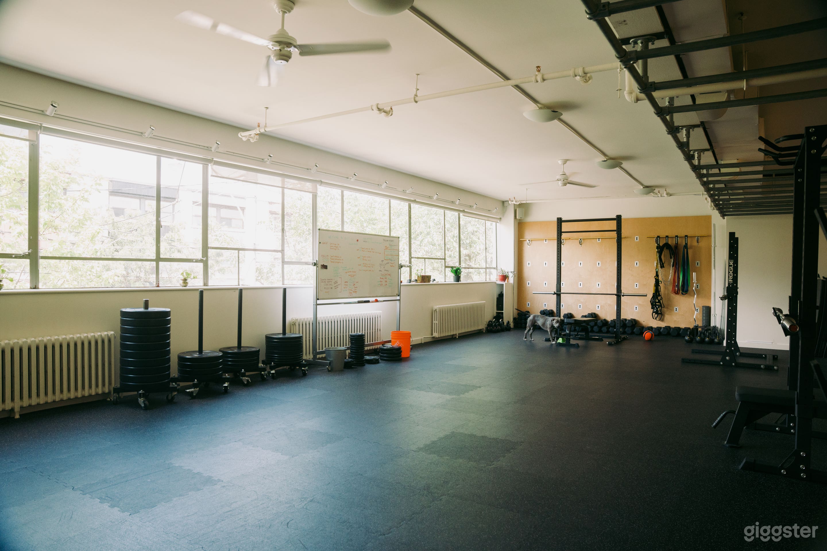 Bright Fitness Studio Photo 4