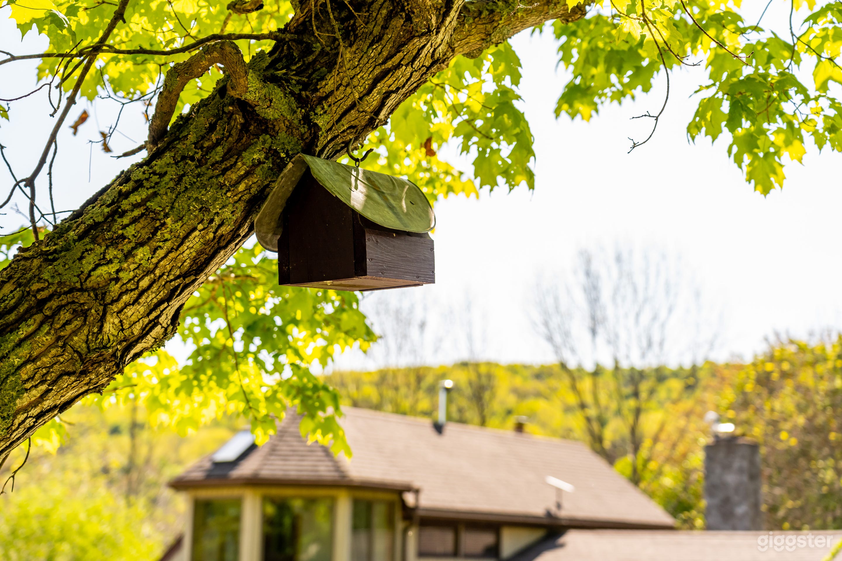 Earth berm magical house at Catskill Photo 2