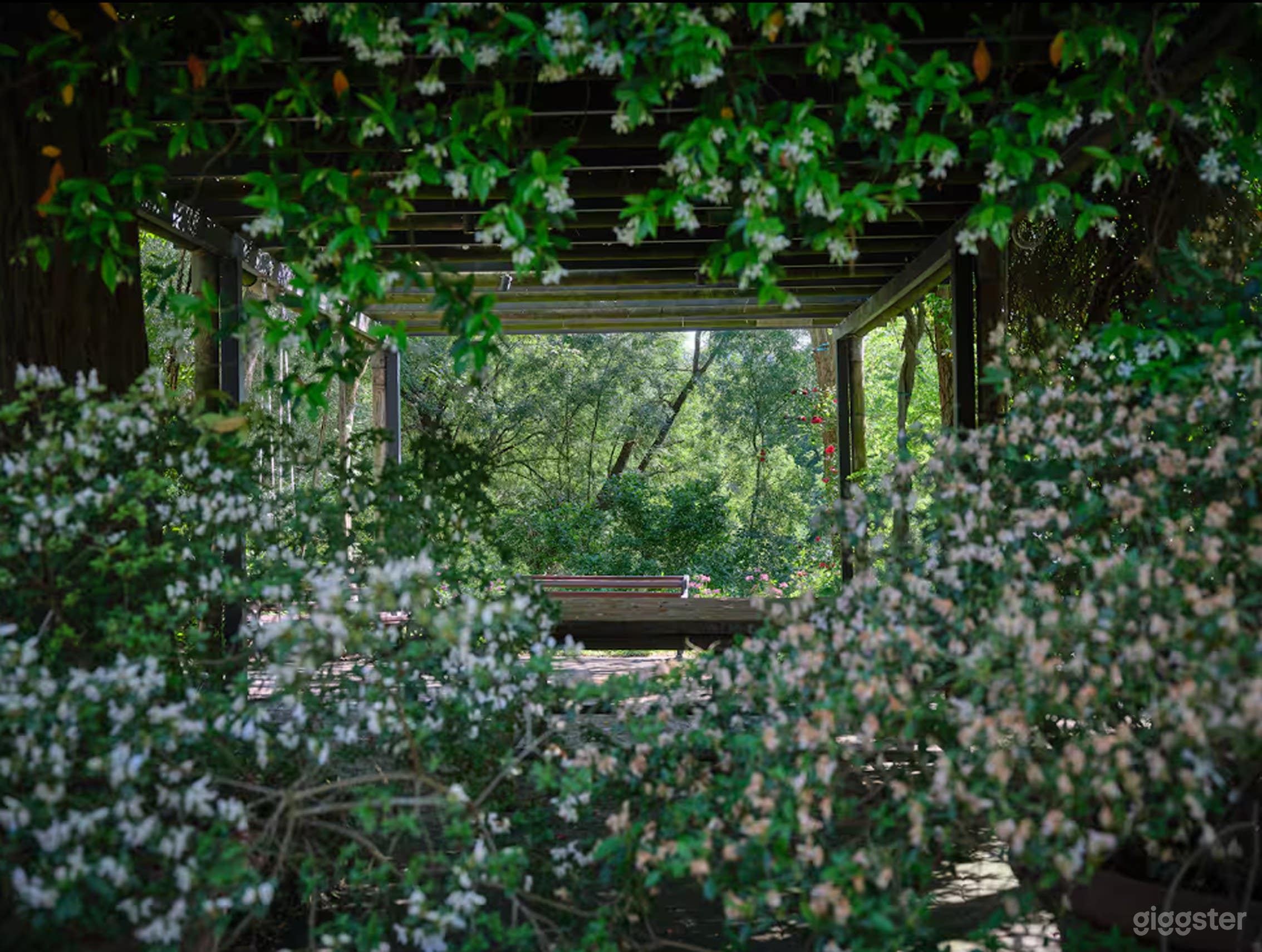 Foto di Ampio Giardino Privato in Tenuta di Campagna 2