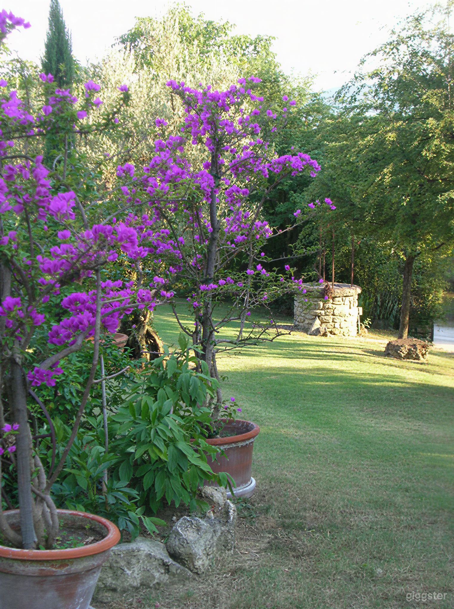 Foto di Ampio Giardino Privato in Tenuta di Campagna 1