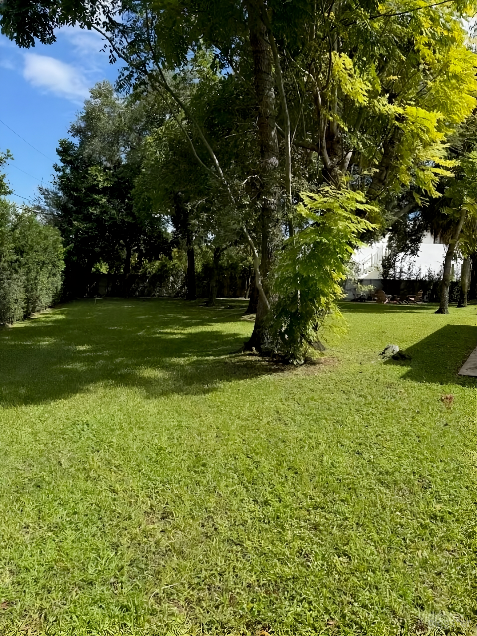 1.5 acres Secluded Enchanted Venue in Palmetto Bay Photo 3