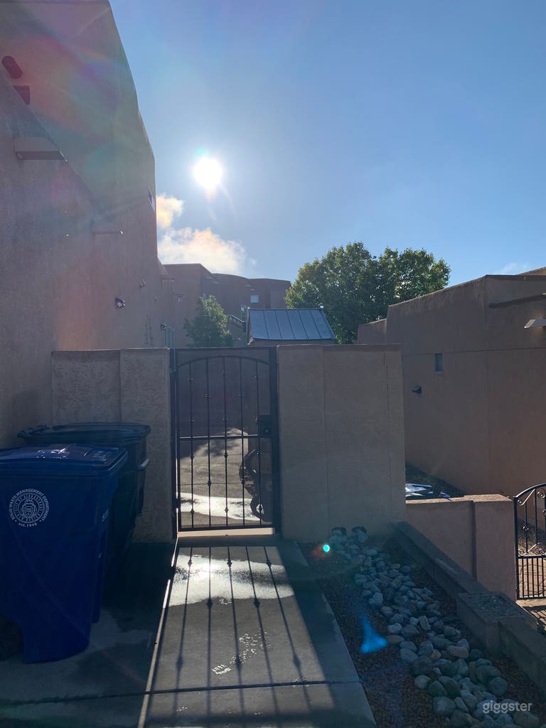  South gate to backyard 