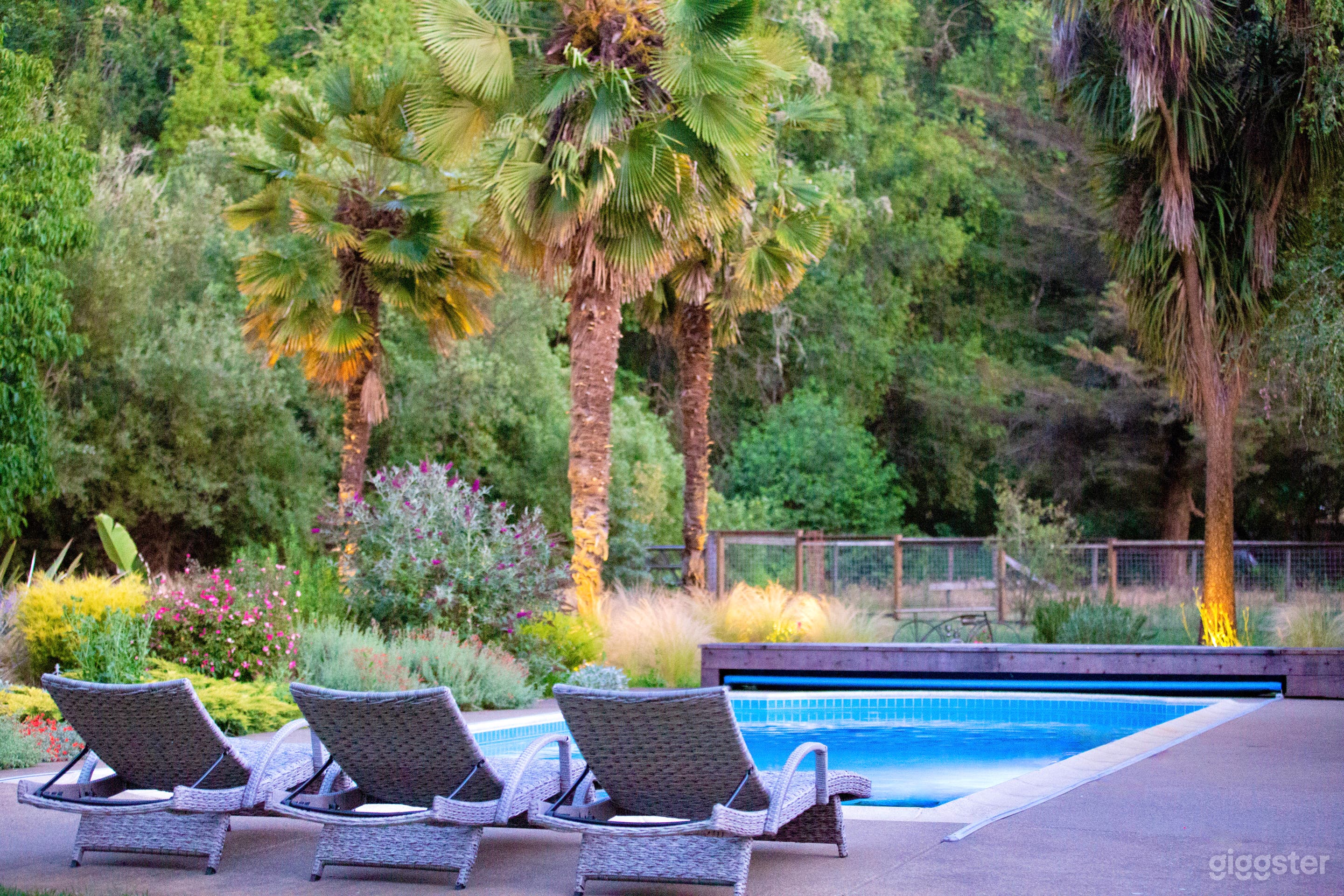 Private Sanctuary Backyard Photo 3