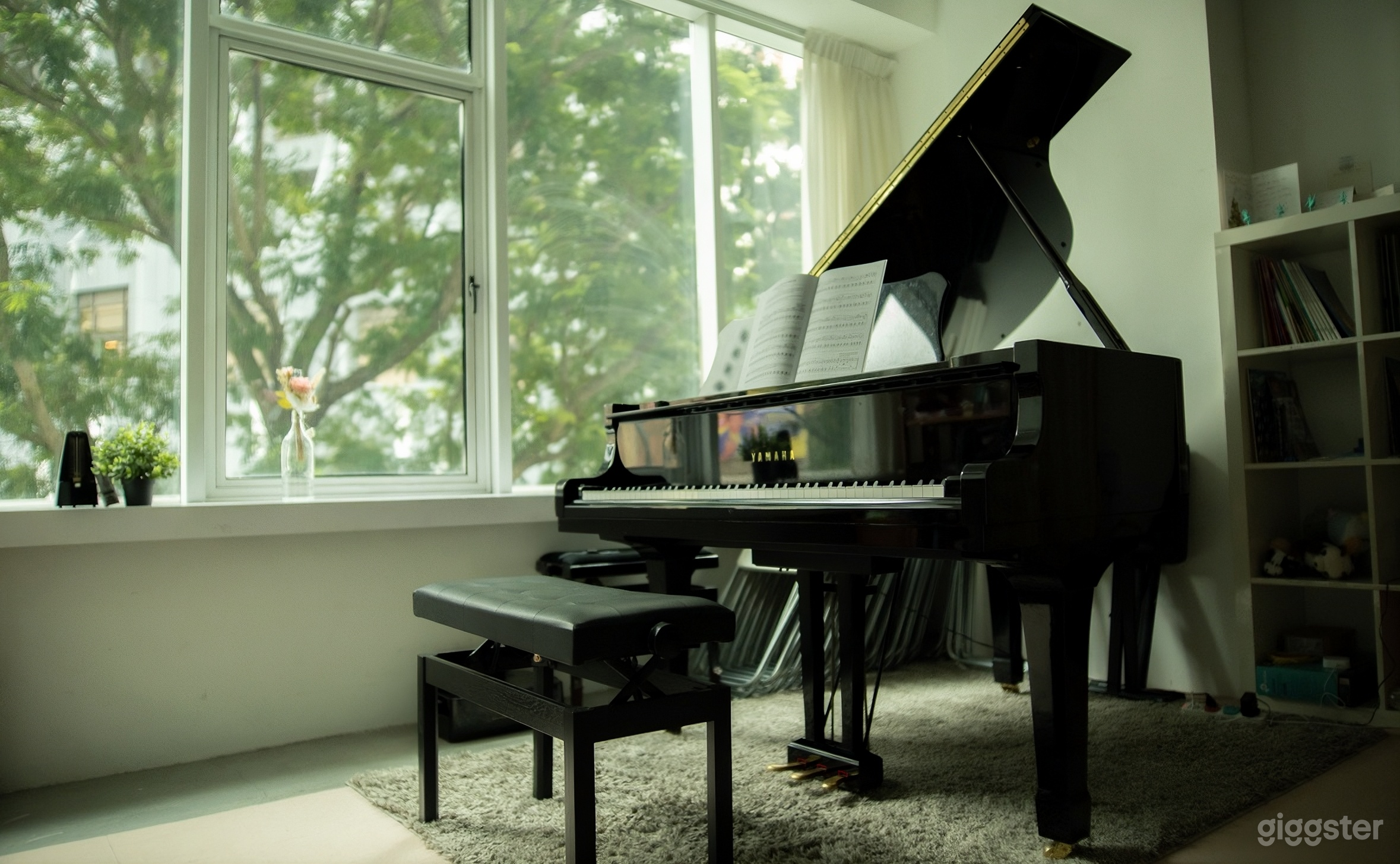 Grand Piano Studio Photo 1