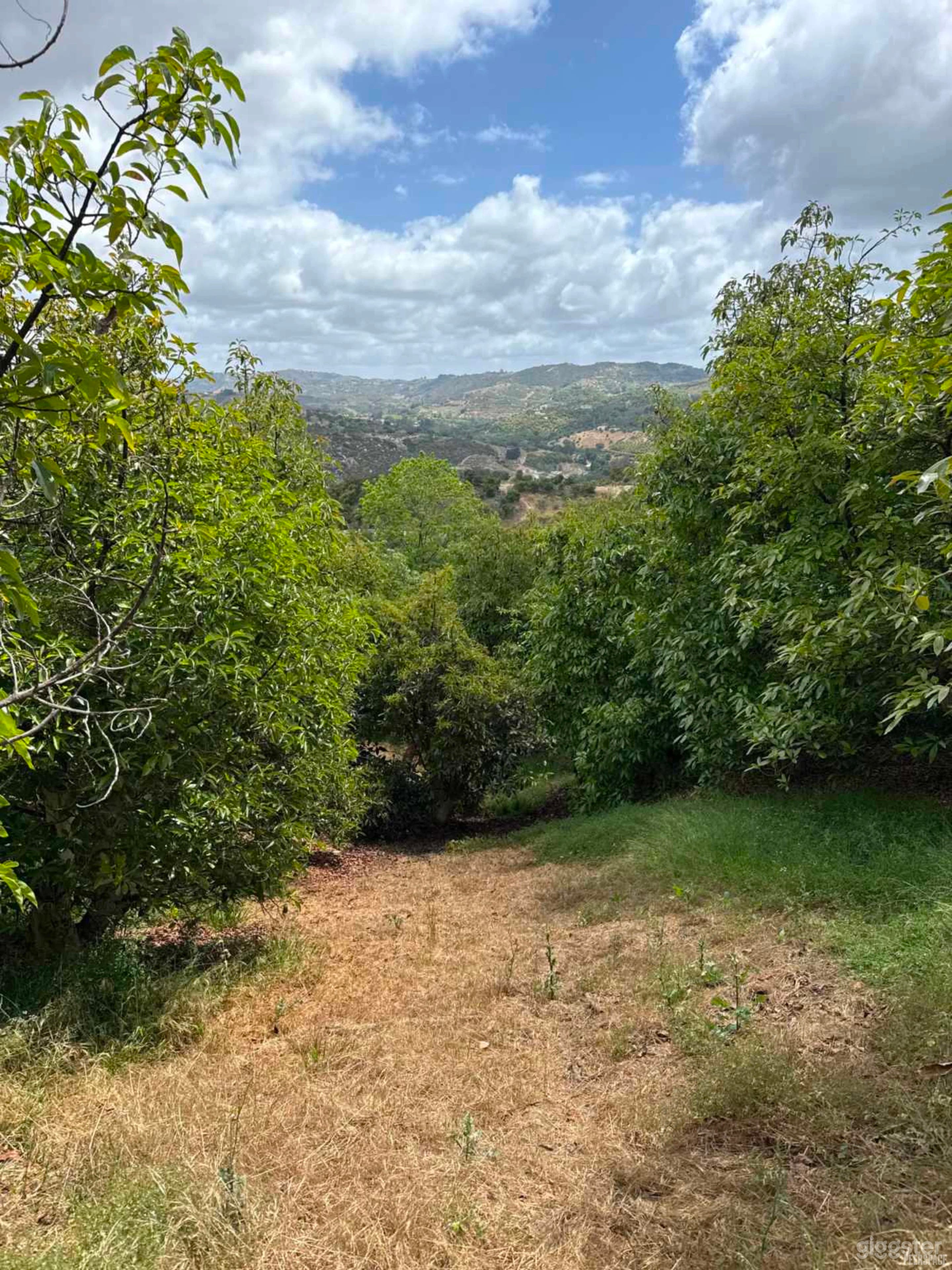 Private Avocado Ranch with Cinematic Hillside Views Photo 1
