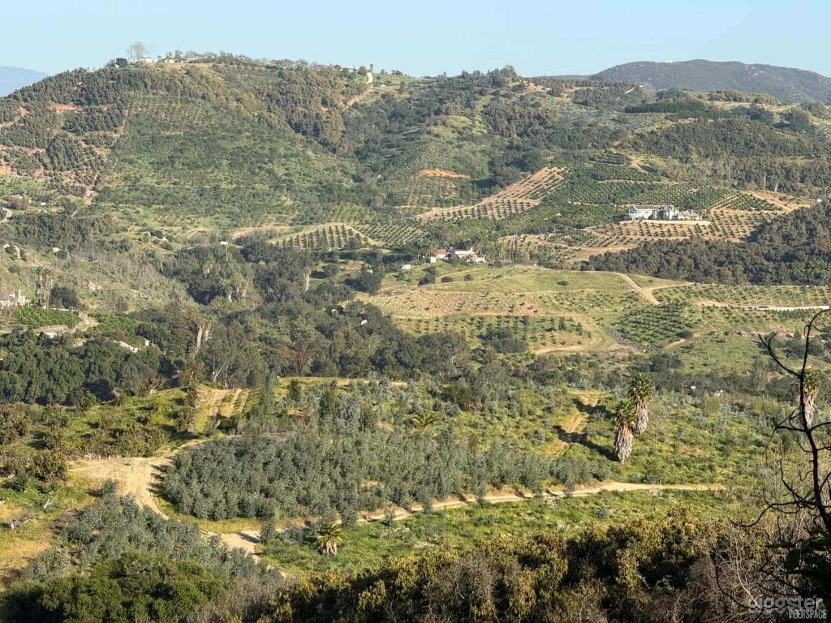 Private Avocado Ranch with Cinematic Hillside Views Photo 2