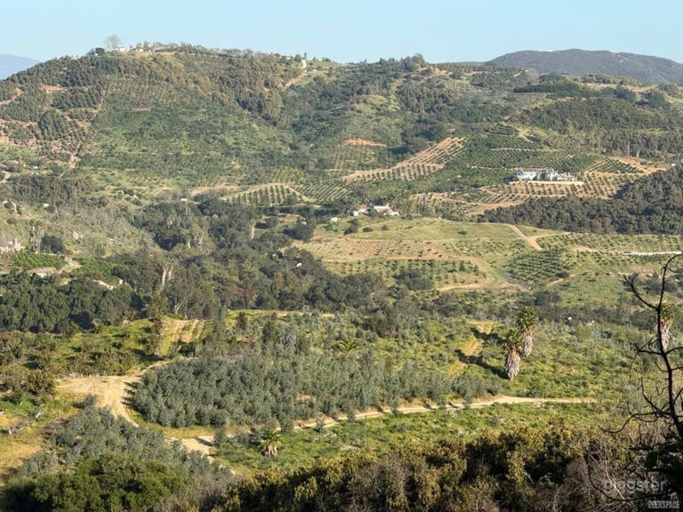  Private Avocado Ranch with Cinematic Hillside Views 