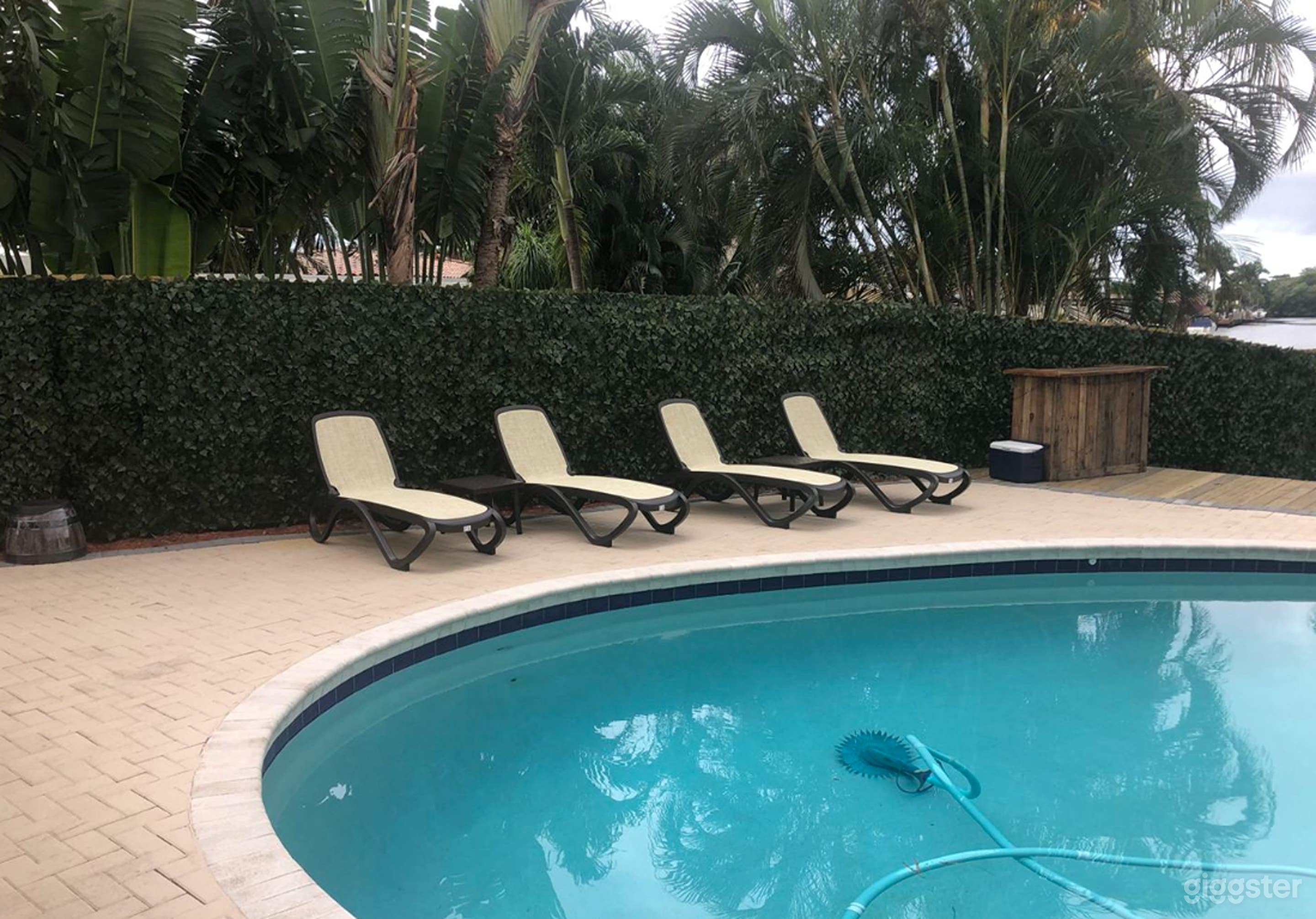 Tropical Oasis Tiki Bar and Pool Photo 3