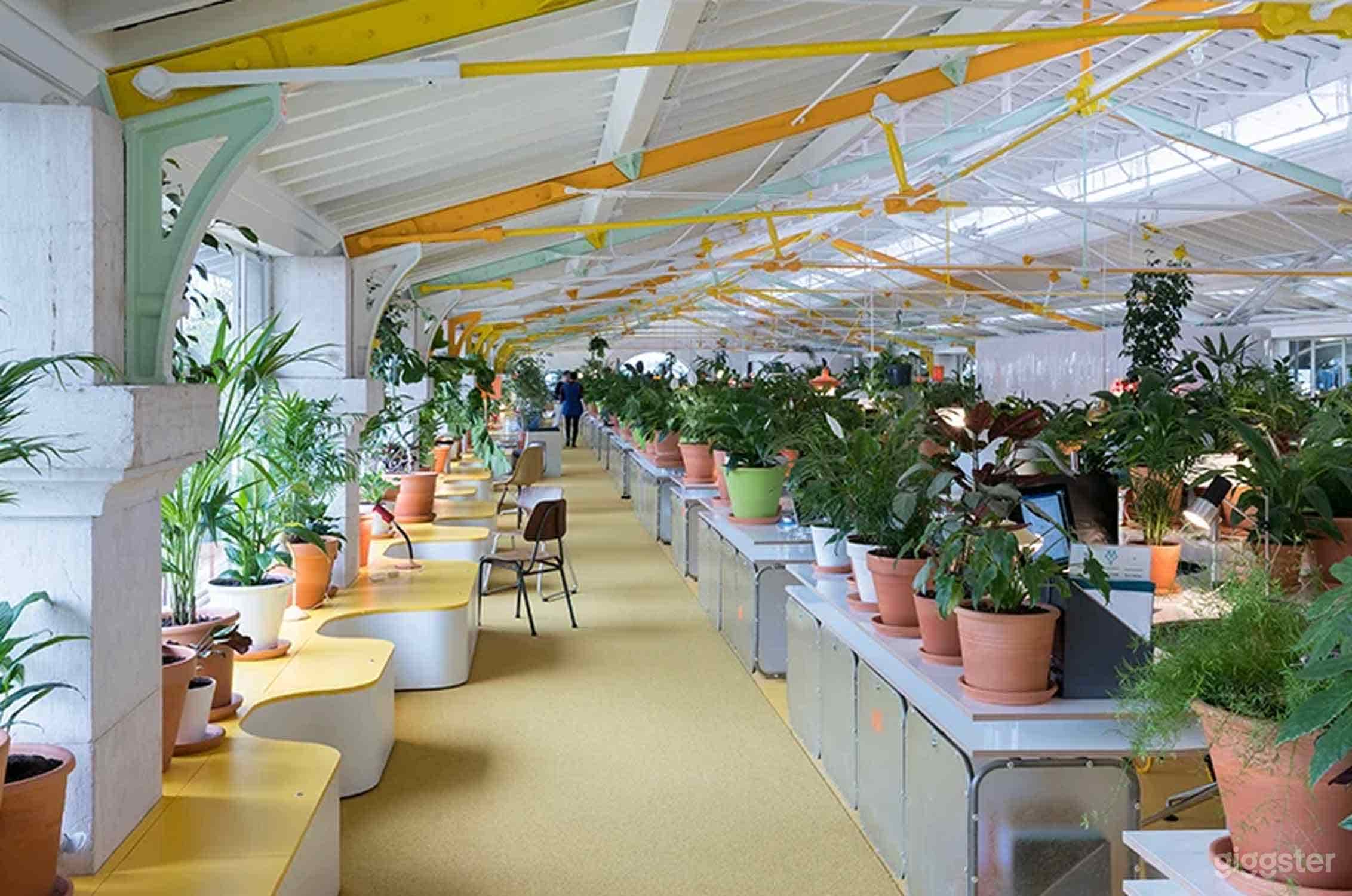 Sunny Lounge in Lisboa Photo 3